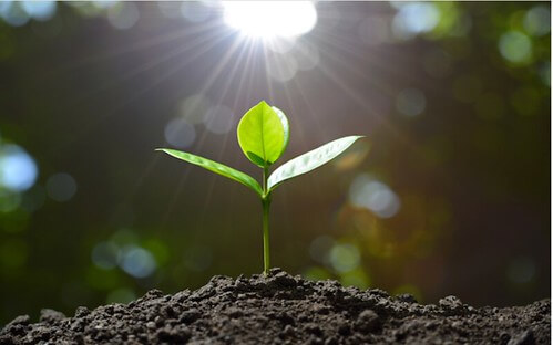 Sáng tạo tư tưởng để Việt tộc tiến vào thời đại văn minh mới toàn cầu | Vietnam Fraternité