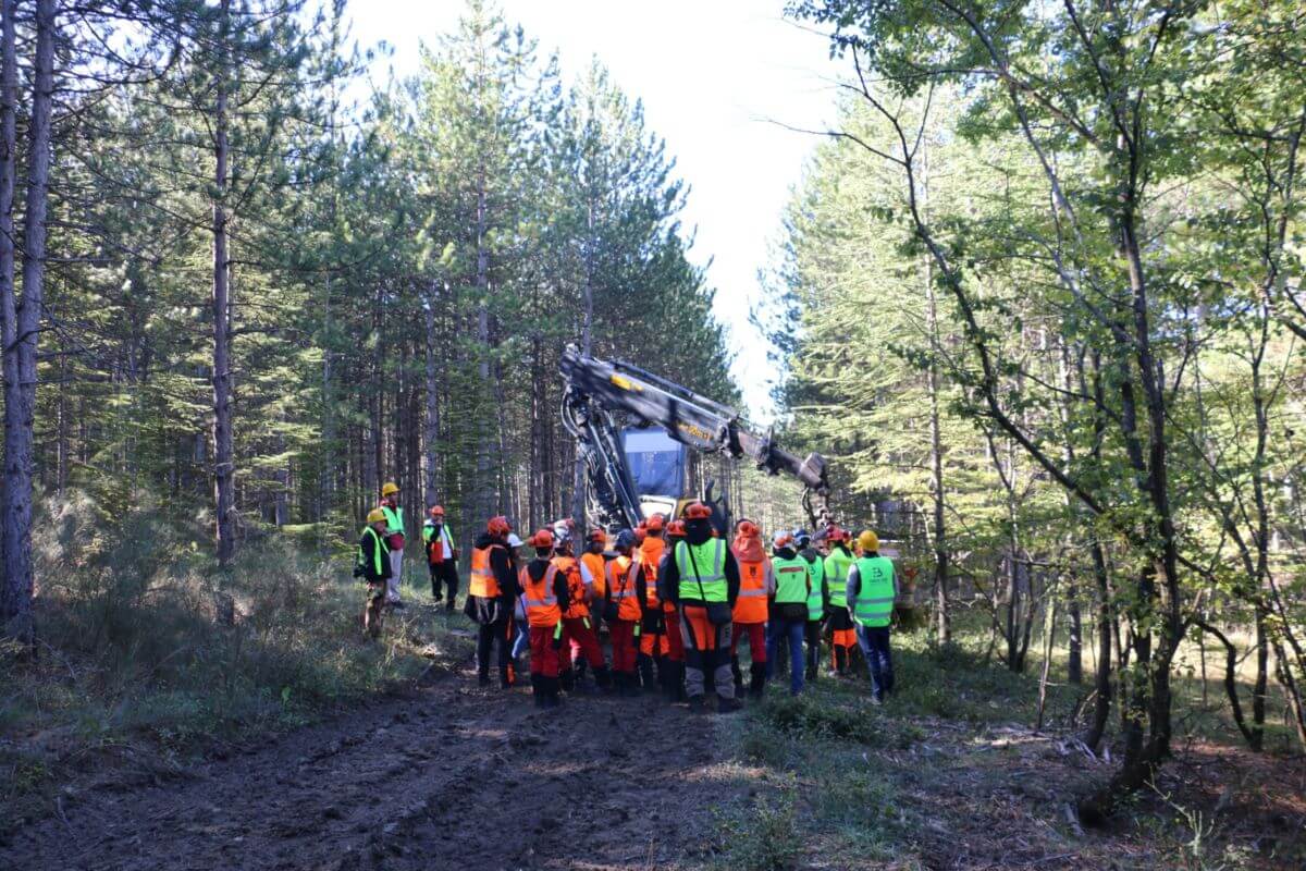 Retour sur un chantier "Very Wood Métiers" | Fibois Sud