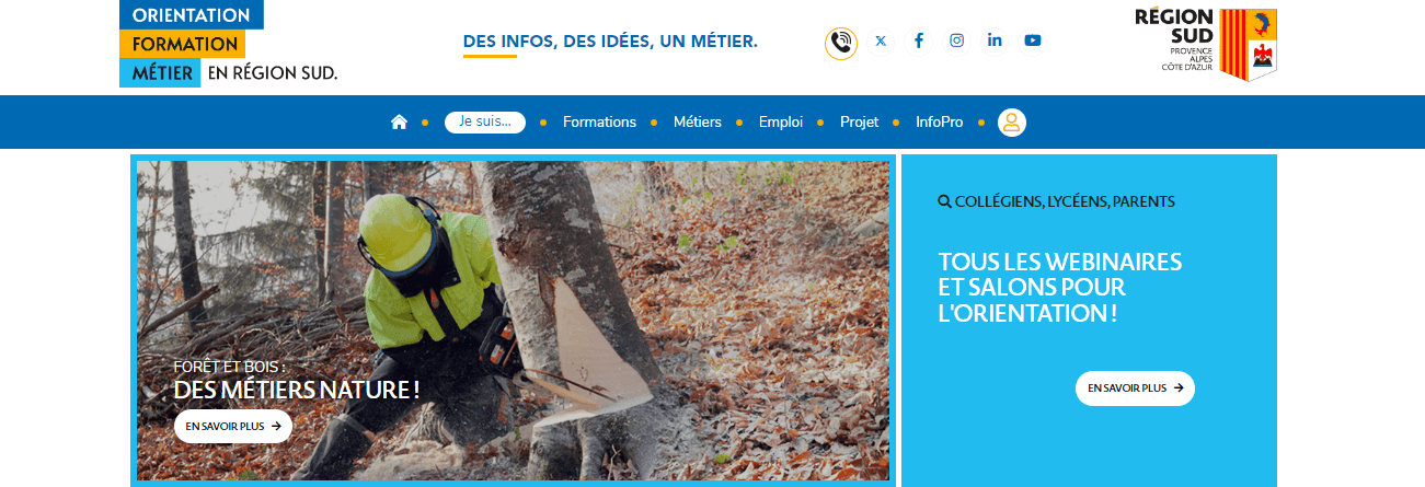 Orientation : Focus régional sur les métiers de la forêt et du bois | Fibois Sud