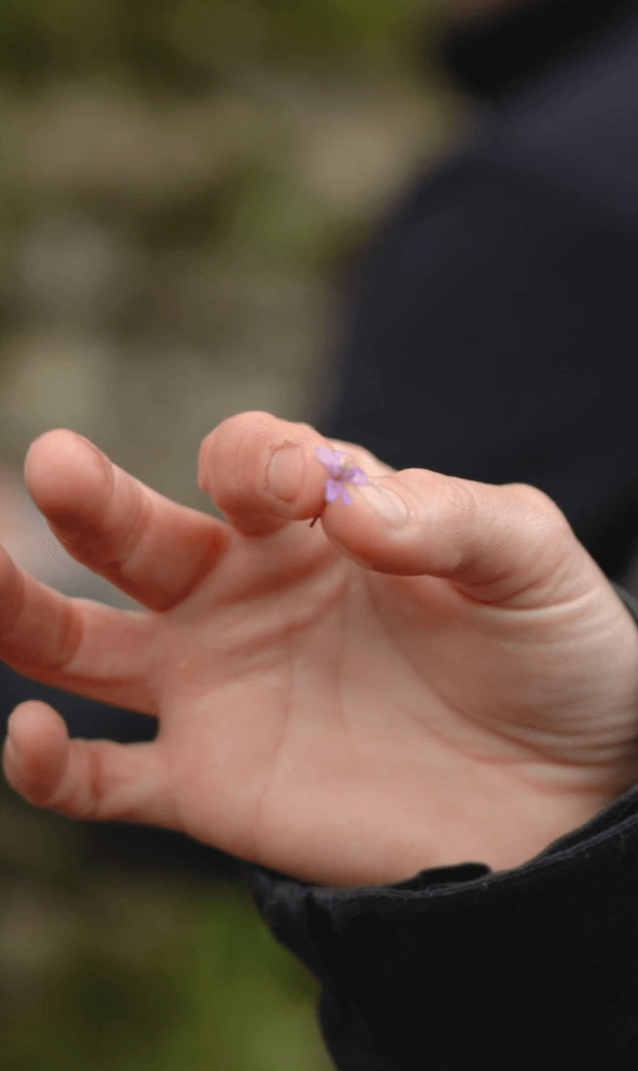 Ateliers transversale | Vidéact’ En mouvement vidéo