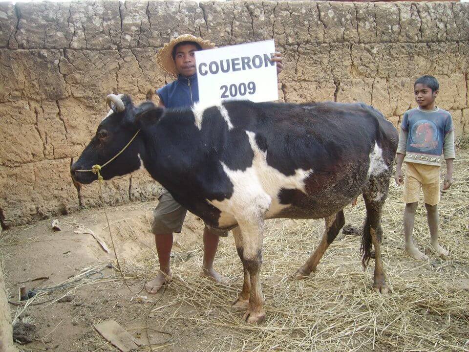 - | Le Lémurien - Maison de Madagascar