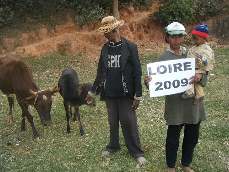 - | Le Lémurien - Maison de Madagascar
