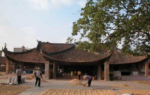 Về những sắc thái "cấp tiến" của Tập Hợp Dân Chủ Đa Nguyên | Vietnam Fraternité