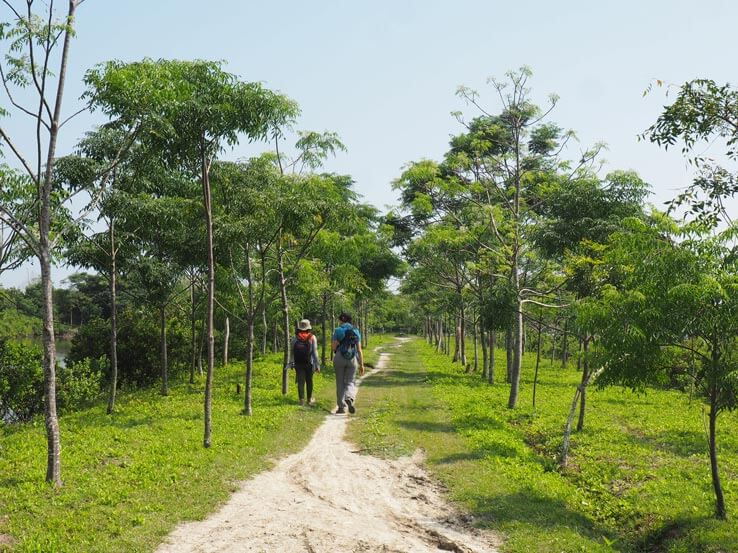 CoopTerre est à Medan sur l’île indonésienne de Sumatra | Coopterre