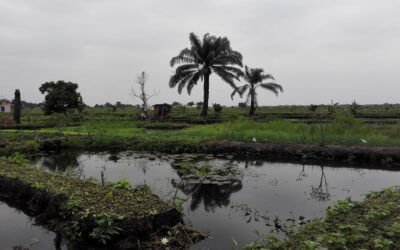 Projet « Terr’Eau » | Coopterre