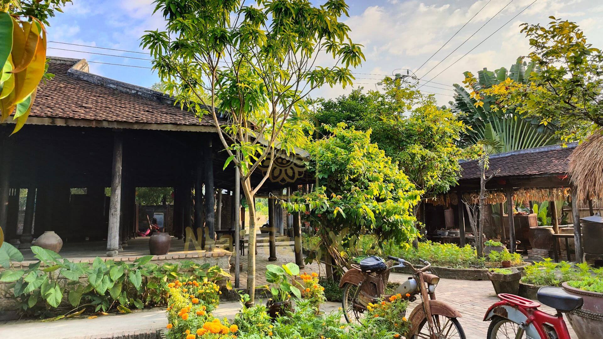 Vietnam Fraternité