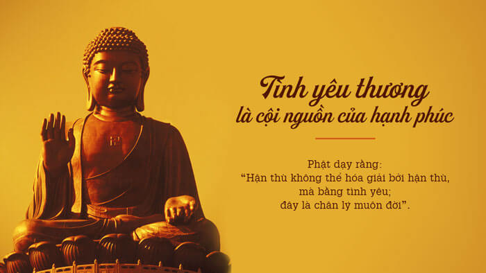 Bài 2 : Hòa giải đã lỡ, hòa hợp đang chờ | Vietnam Fraternité