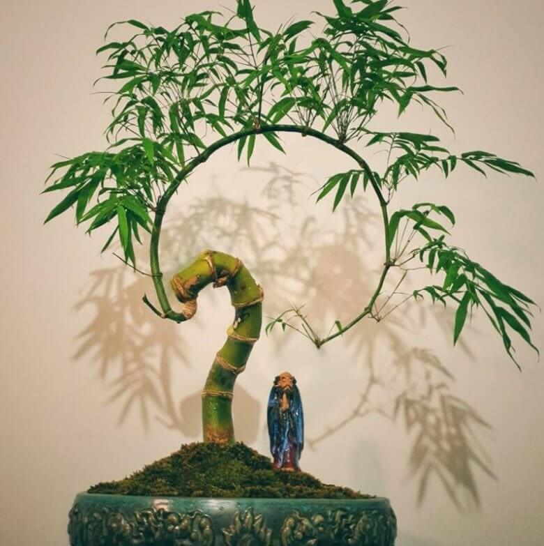 Vietnam Fraternité
