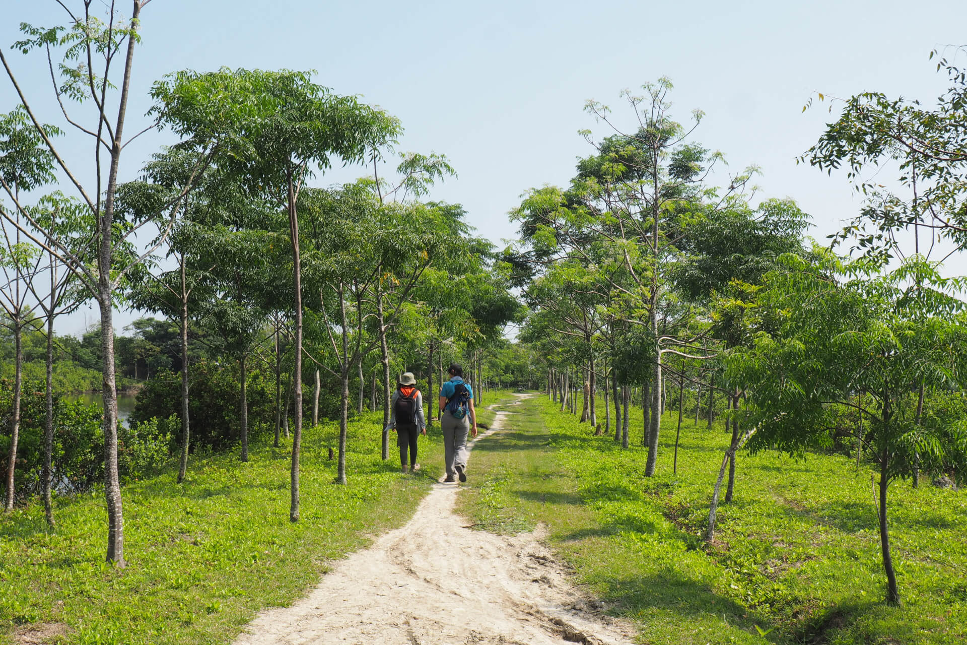 Notre champ d'action | Coopterre