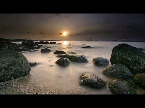 TQĂN - Phụ lục | Vietnam Fraternité