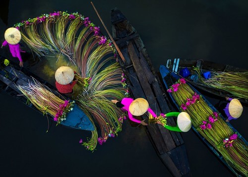 Chế độ độc tài kìm hãm, bóp chết tài năng | Vietnam Fraternité