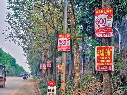 Hội chứng suy giảm miễn dịch của nền kinh tế Việt Nam | Vietnam Fraternité