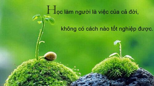 Con người & Công dân | Vietnam Fraternité