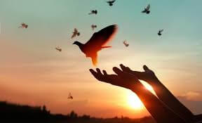 Chúng ta đang cần gì nhất ? | Vietnam Fraternité