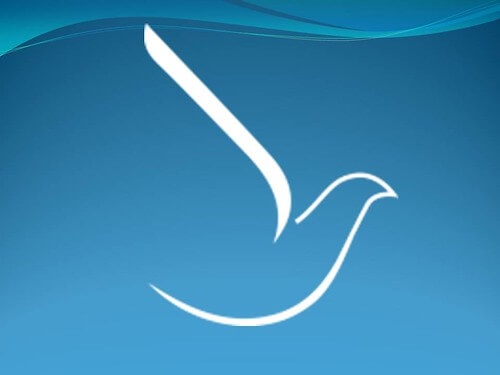 Tuyên bố của Tập Hợp Dân Chủ Đa Nguyên về dự luật thành lập các đặc khu hành chính - kinh tế | Vietnam Fraternité