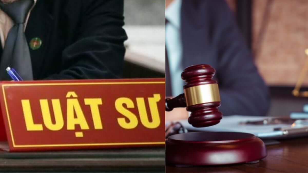 Nghề luật, lý kẻ mạnh và sống xứng đáng | Vietnam Fraternité