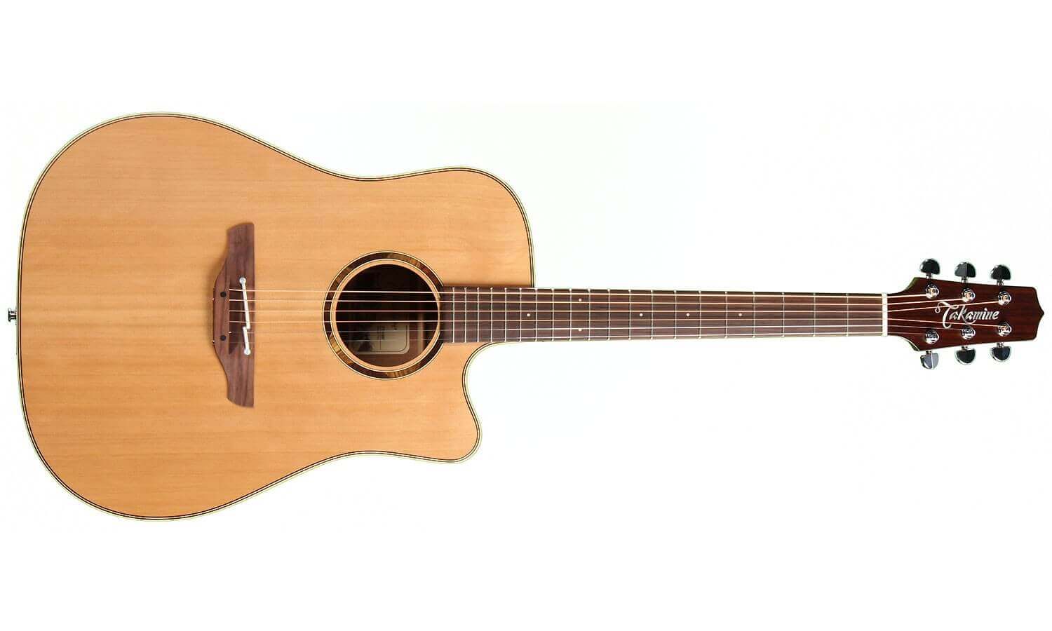 TAKAMINE ETN 10C | SudBackline