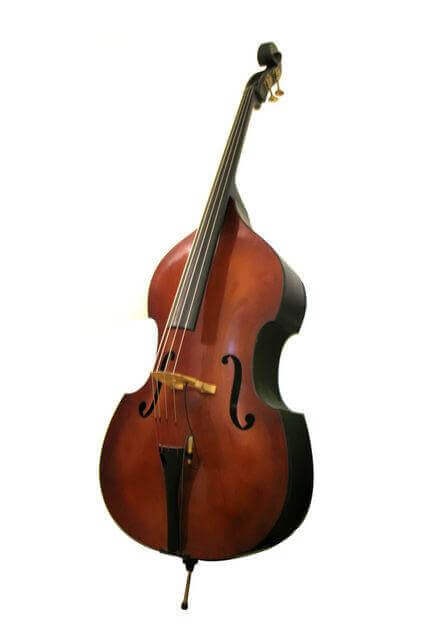 Contrebasses | SudBackline