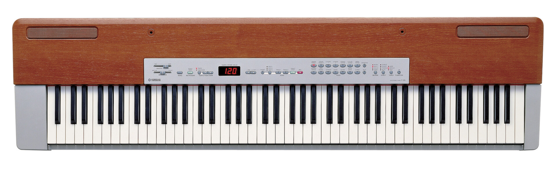 YAMAHA_P120 | SudBackline