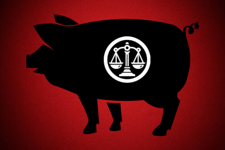 Vụ Liễu Quý Ngân : Xã hội bị nhấn chìm trong bạo ngược | Vietnam Fraternité