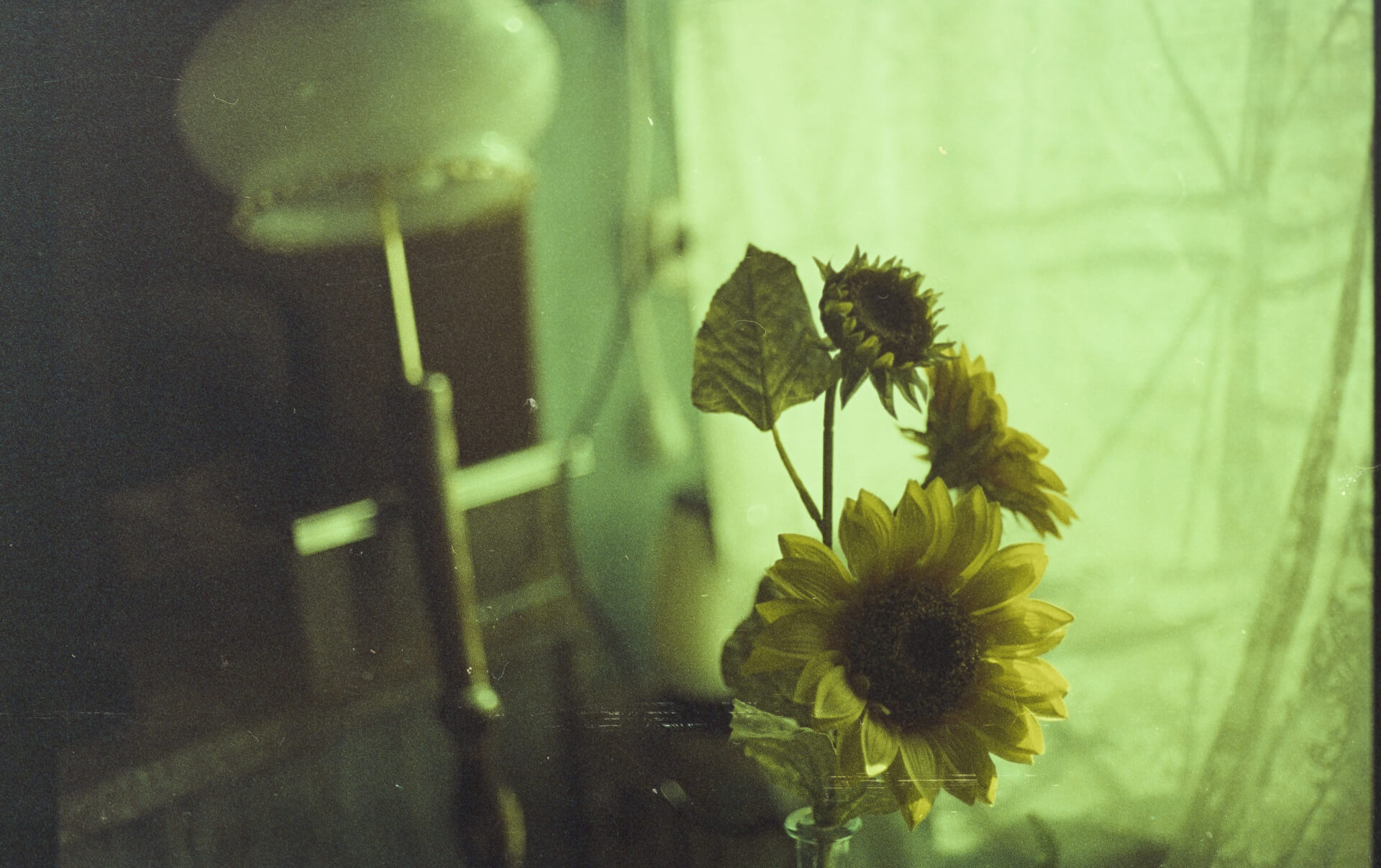 - | Ibrahim Handal
