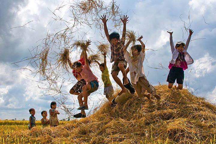 Mô thức nào cho Việt Nam khi nền dân chủ Hoa Kỳ chỉ còn là một ốc đảo và những bức tường ? | Vietnam Fraternité