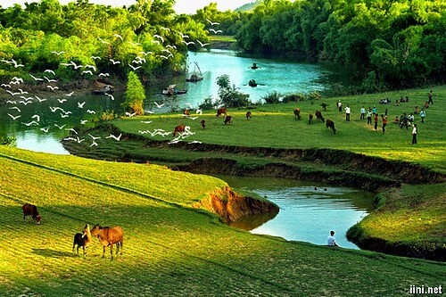 Một lần về thăm quê | Vietnam Fraternité