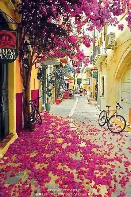 Dân chủ tự do vs Độc tài toàn trị | Vietnam Fraternité