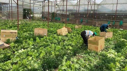 Sai đâu sửa đó | Vietnam Fraternité