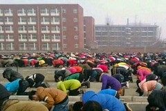 Trở ngại của dân chủ là văn hóa nhân sĩ | Vietnam Fraternité