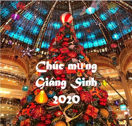 Chúc mừng Giáng Sinh 2020 | Vietnam Fraternité