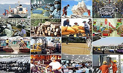 Kinh tế Việt Nam bắt đầu ngấm đòn Covid-19 | Vietnam Fraternité