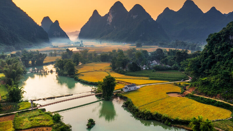 Viết về hai Chí hữu đã không bỏ rơi đất nước | Vietnam Fraternité