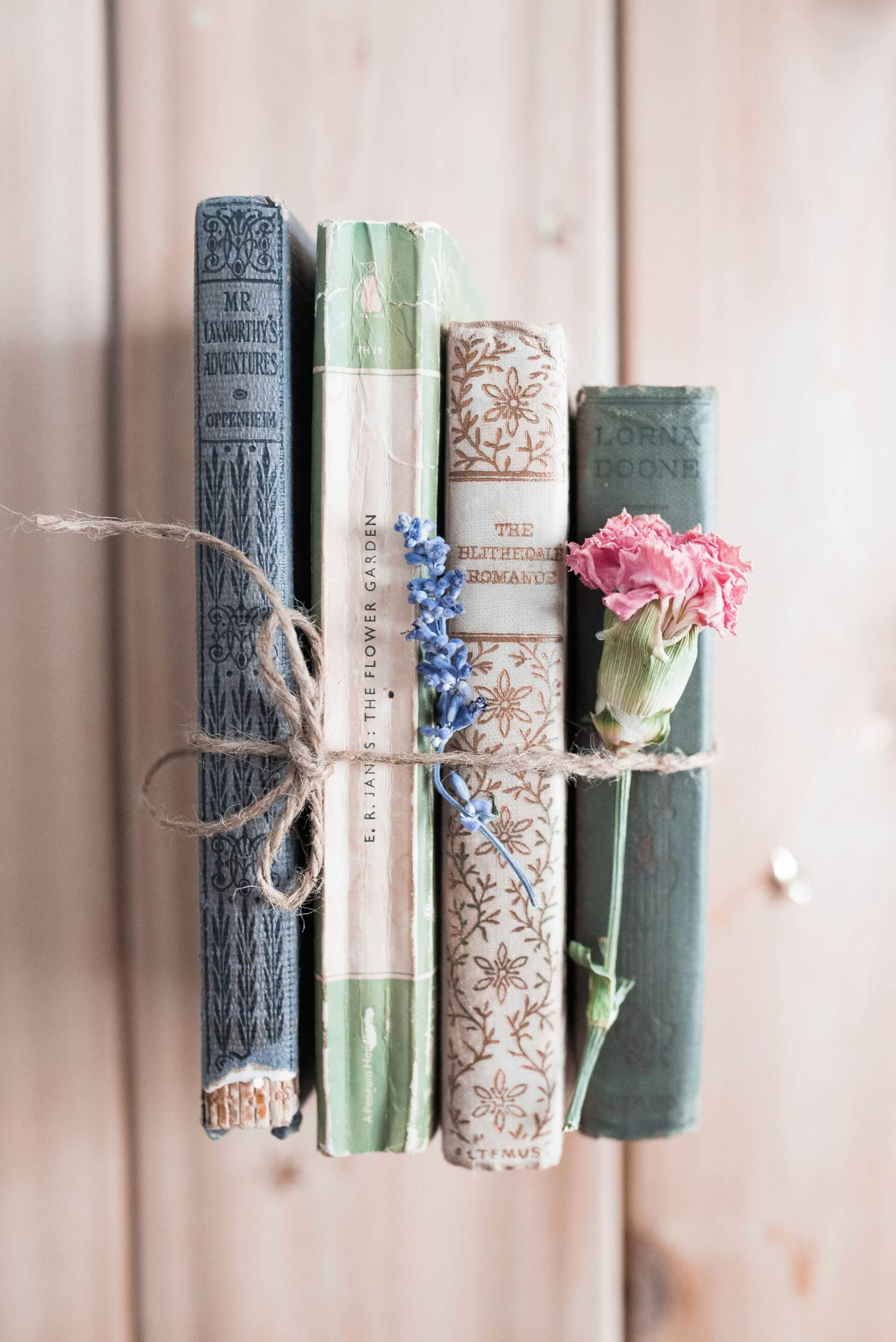 Aliados literarios