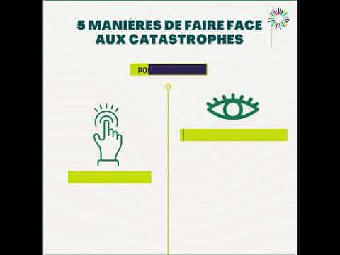 RRC Chapitre 1 - Cinq manières de faire face aux catastrophes