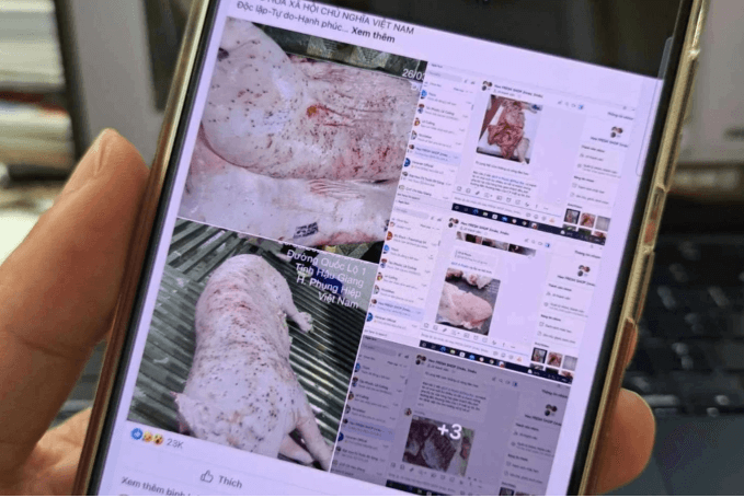 Vụ C.P. Việt Nam : nghĩa vụ của nhân viên trong việc bảo mật thông tin công ty | Vietnam Fraternité