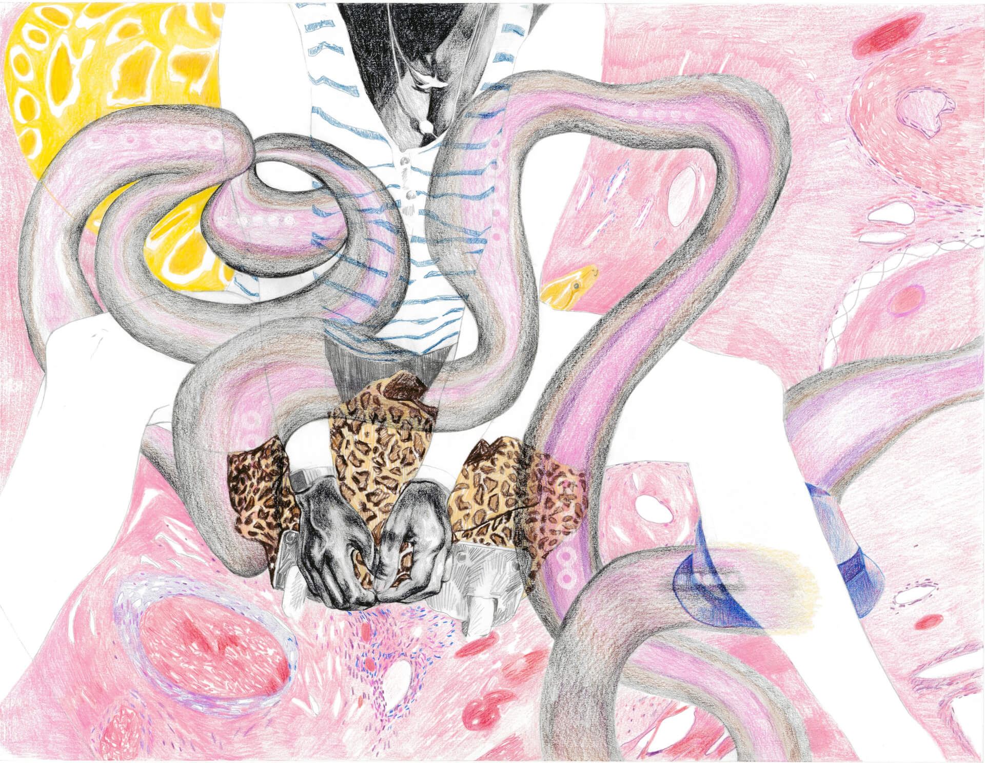 - | Amandine Levy / Lesay