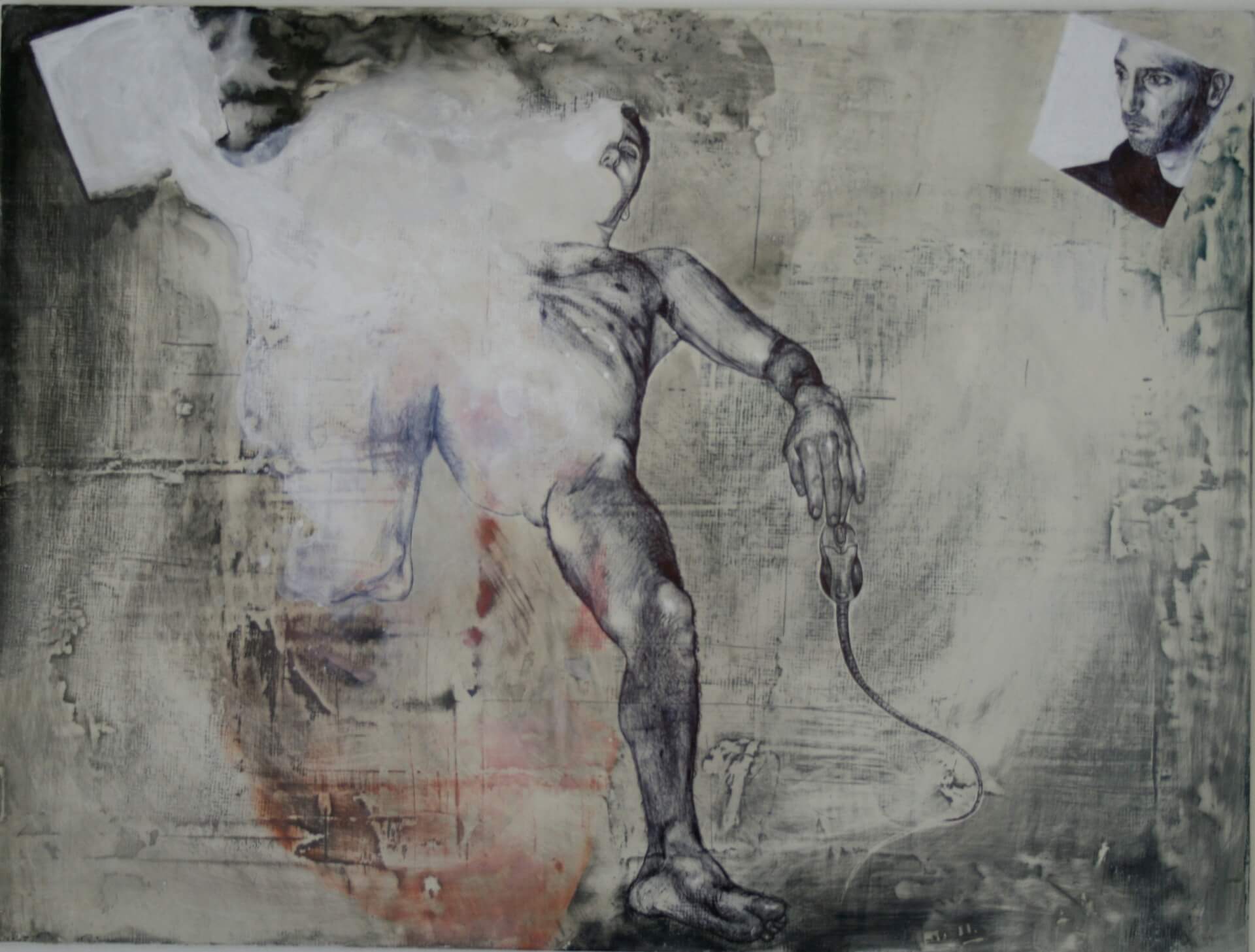 - | Amandine Levy / Lesay