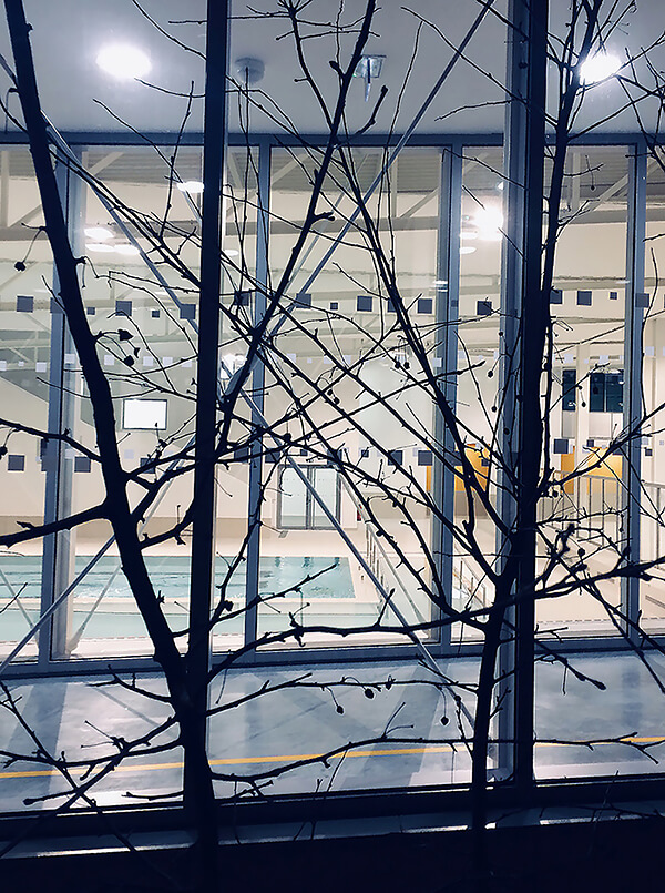 - | BVL Architecture