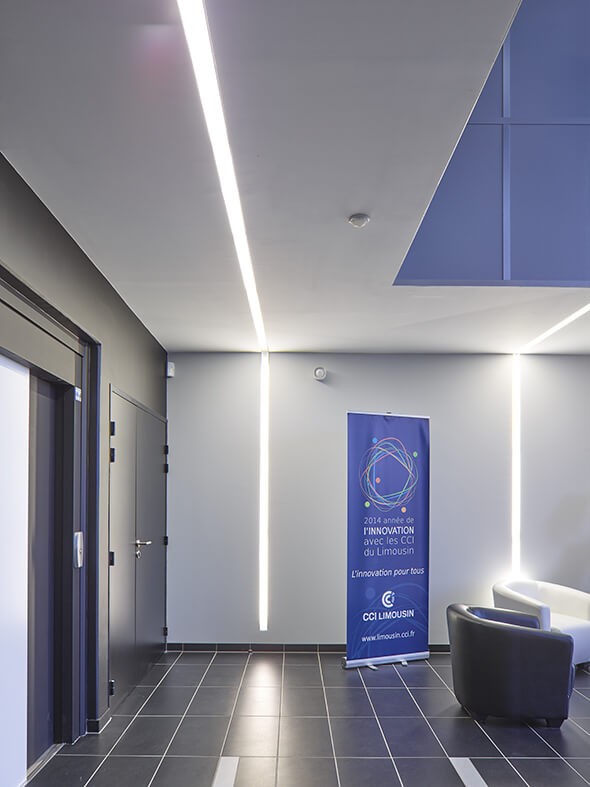 - | BVL Architecture