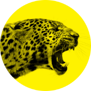 Locarno Film Festival · Still Playing | Ibrahim Handal