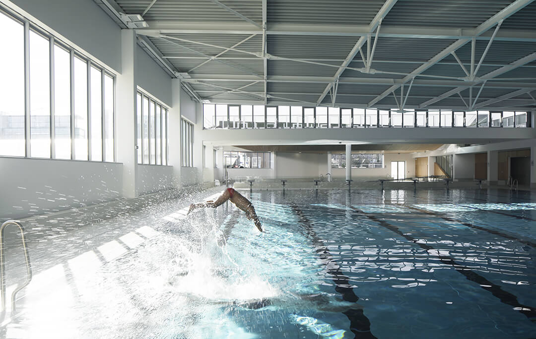 - | BVL Architecture