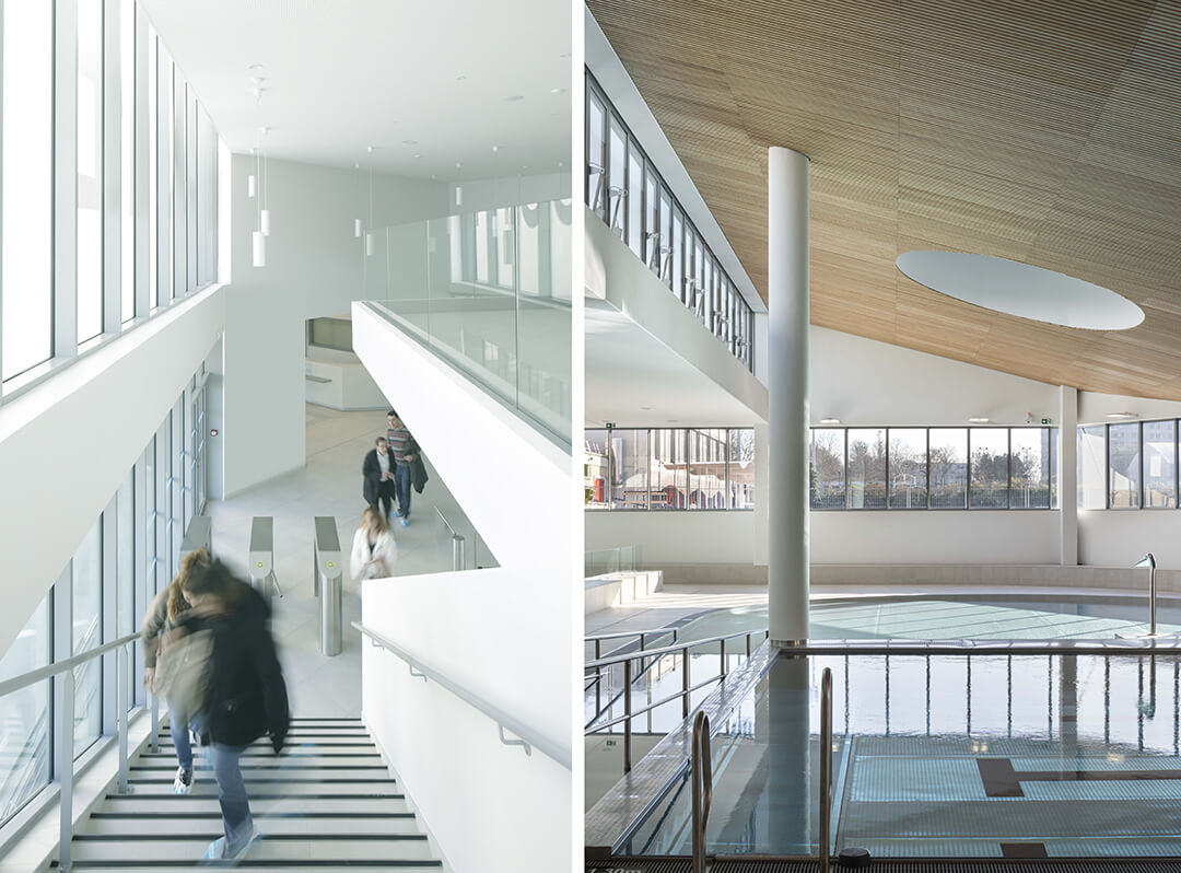 - | BVL Architecture