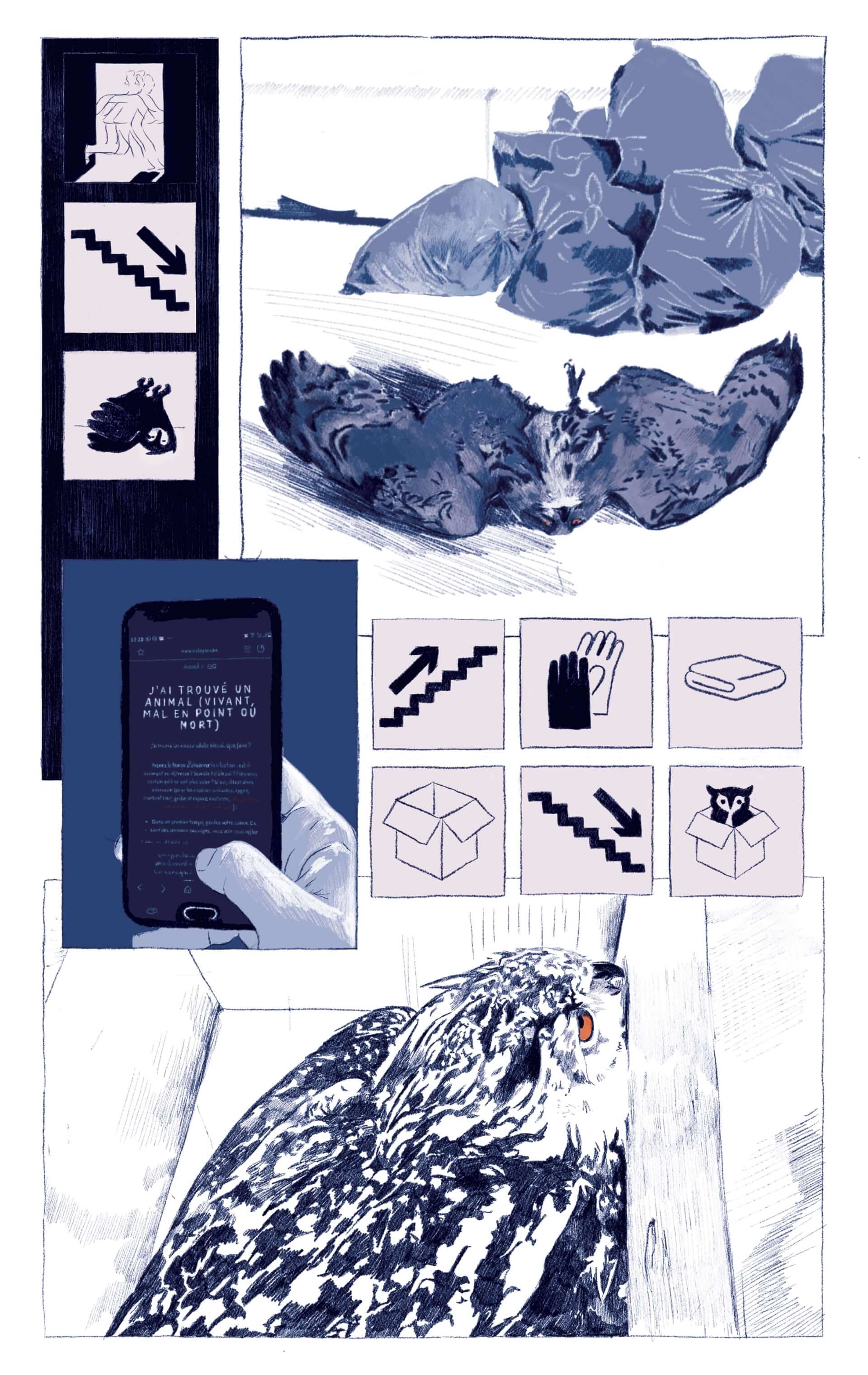 - | Éléonore Scardoni