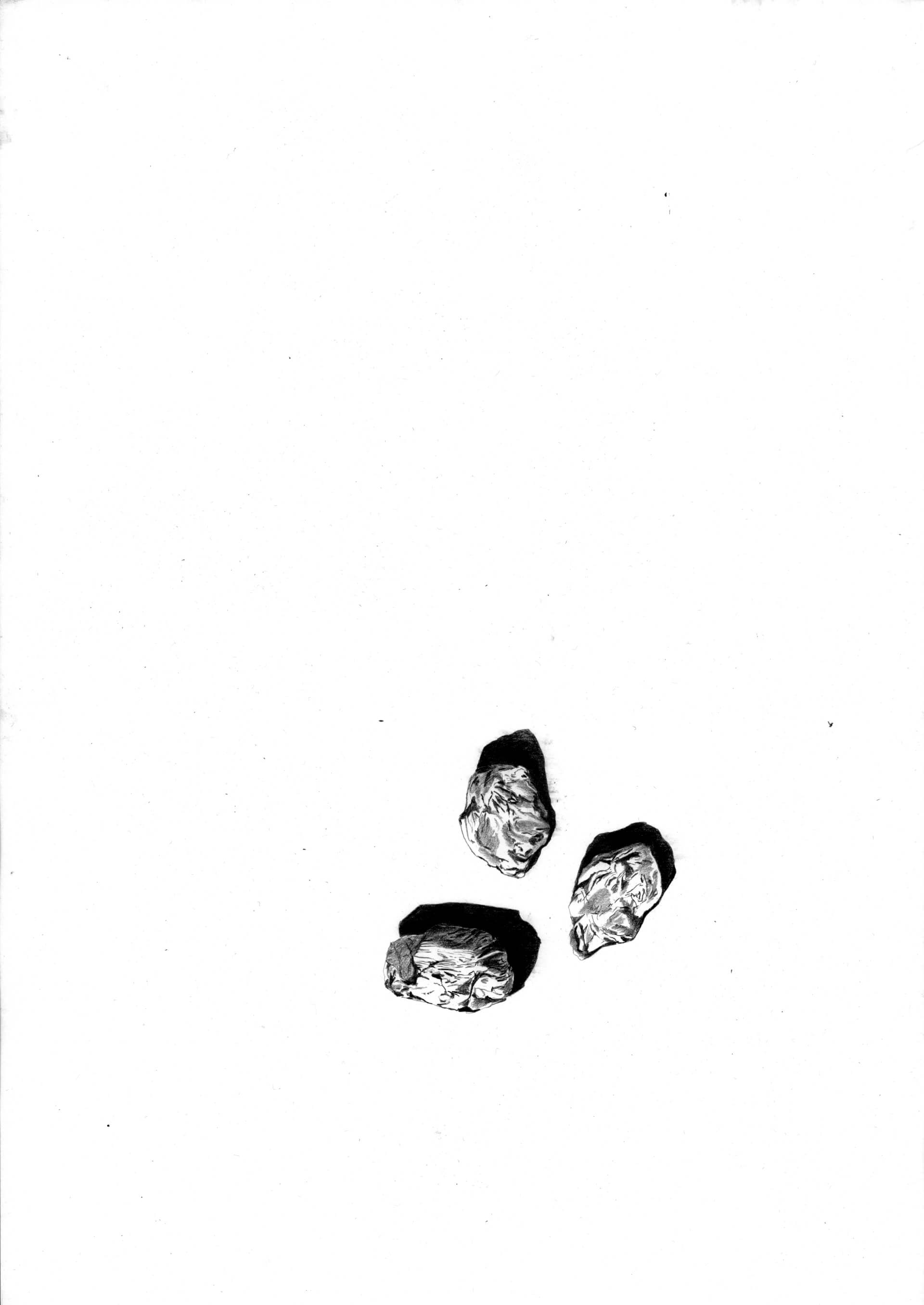 - | Éléonore Scardoni