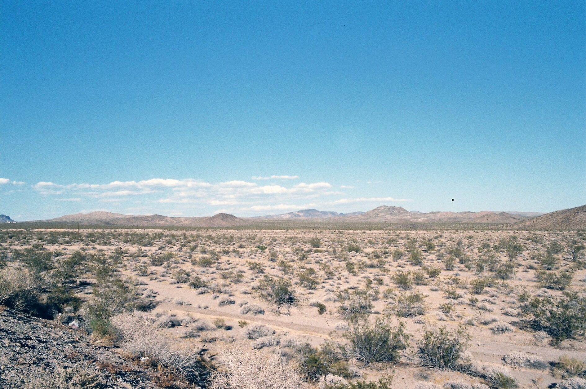 Road - Nevada | Kristy BABOUL