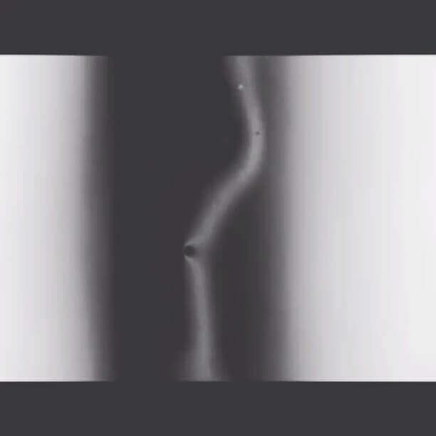- | Éléonore Scardoni