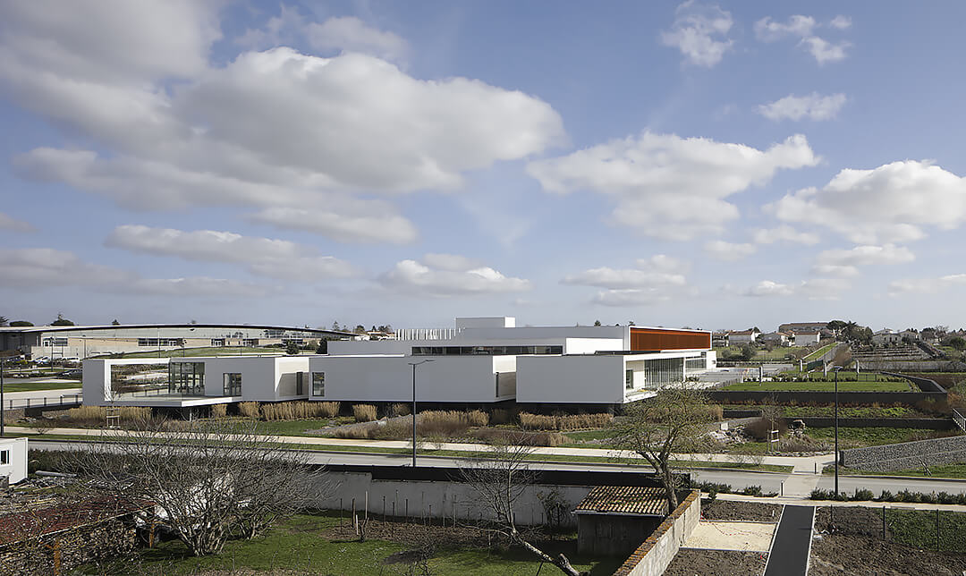 - | BVL Architecture
