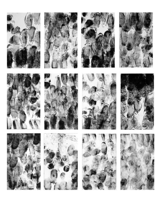 Détail – Verso de 12 monotypes - TRACE - 149 | liguori charlotte