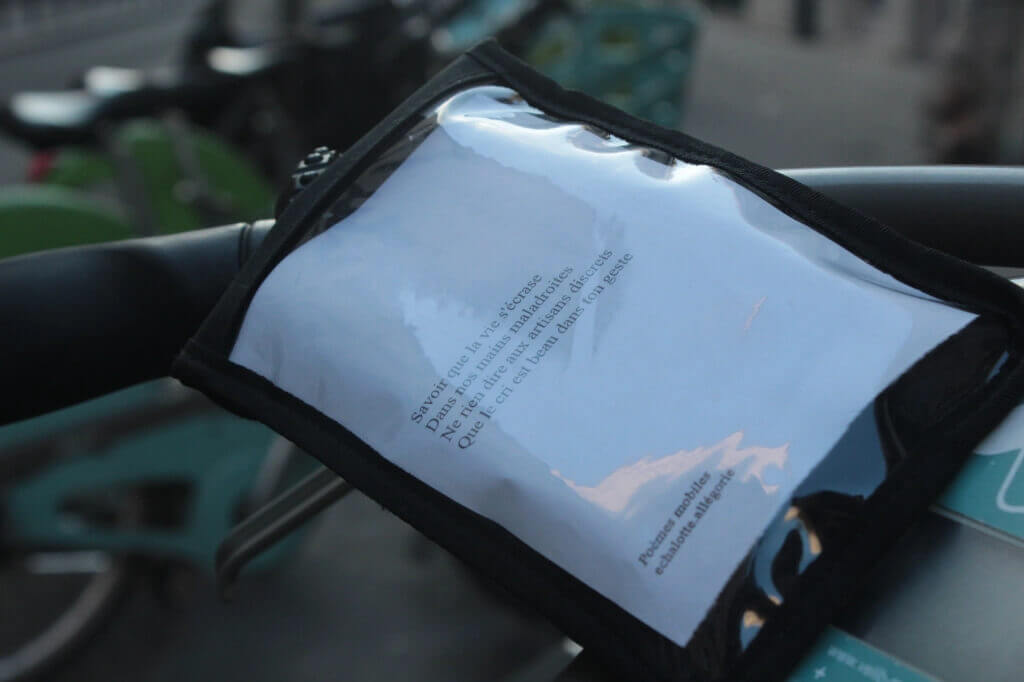 - | liguori charlotte